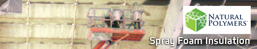 Spray Foam Insulation